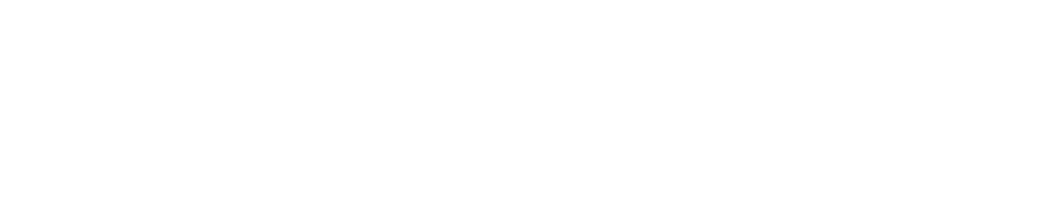 Secludy AI